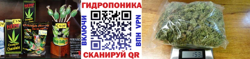 Купить где  Кодинск  Canna-Cookies конопля 