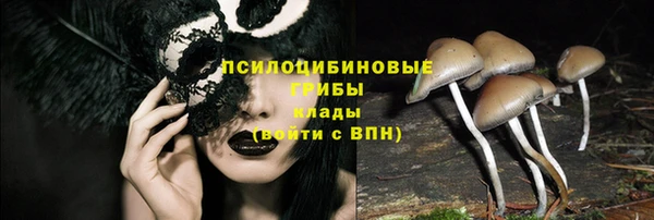 не бодяженный Дмитриев
