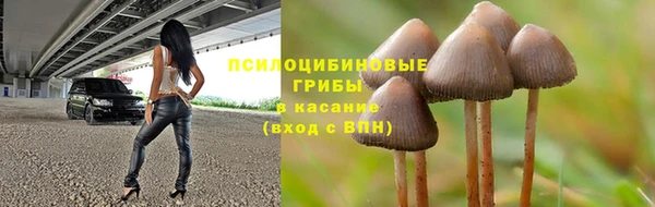 кристаллы Гусь-Хрустальный