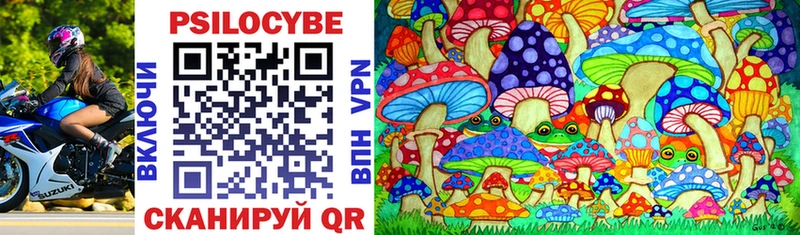 Псилоцибиновые грибы MAGIC MUSHROOMS  Купить  Кодинск 